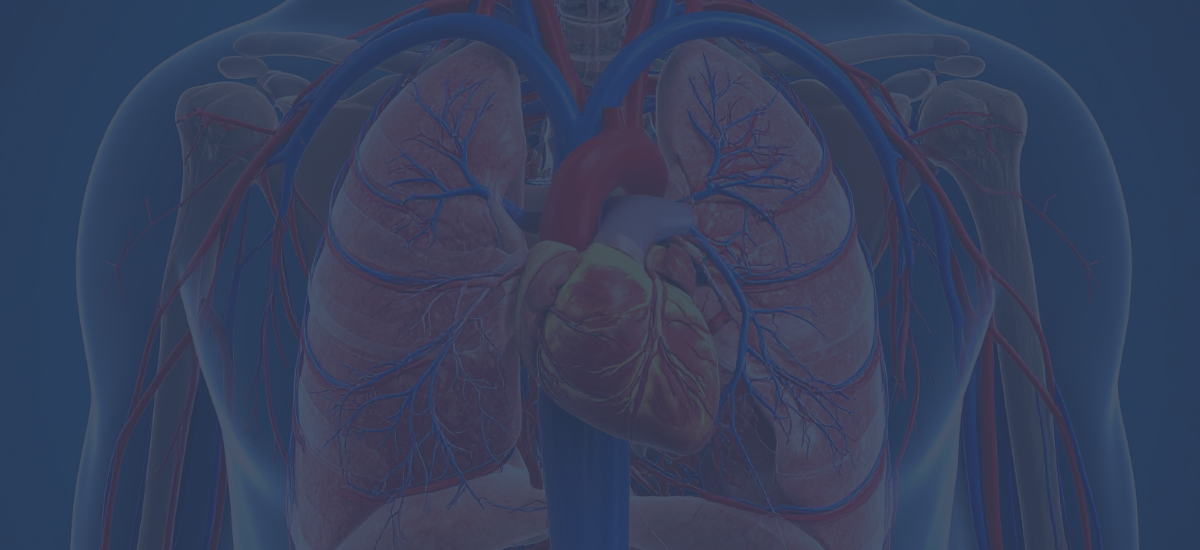 We take a whole-body approach to osteopathic care, which includes your heart health. From blood pressure checks to recognising when GP follow-up is needed, your safety is always our priority.